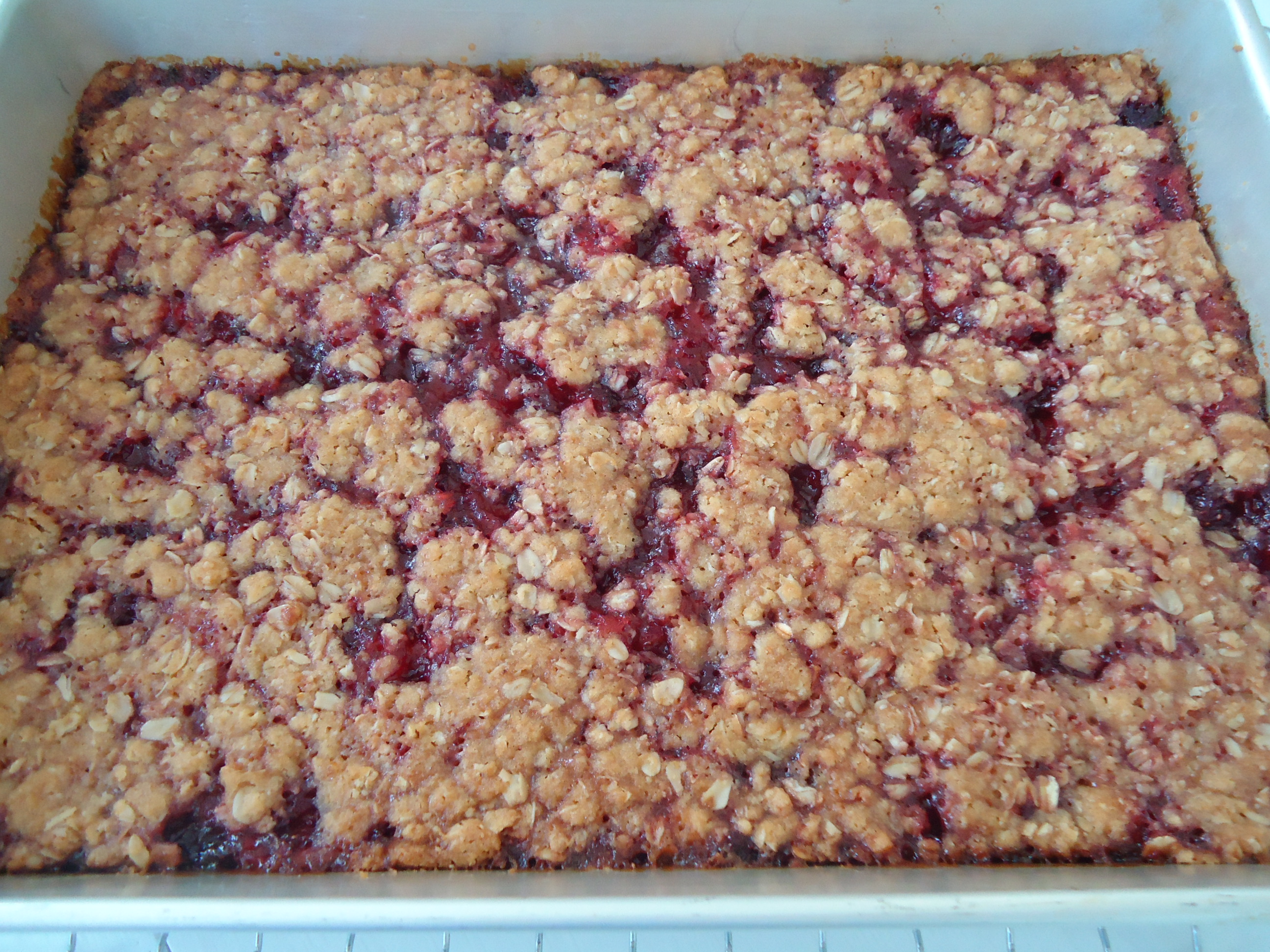 Strawberry Oatmeal Bars from The Pioneer Woman • Family Around the Table