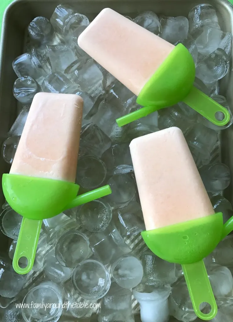 Creamy Cantaloupe Pops are a refreshing after-school treat.