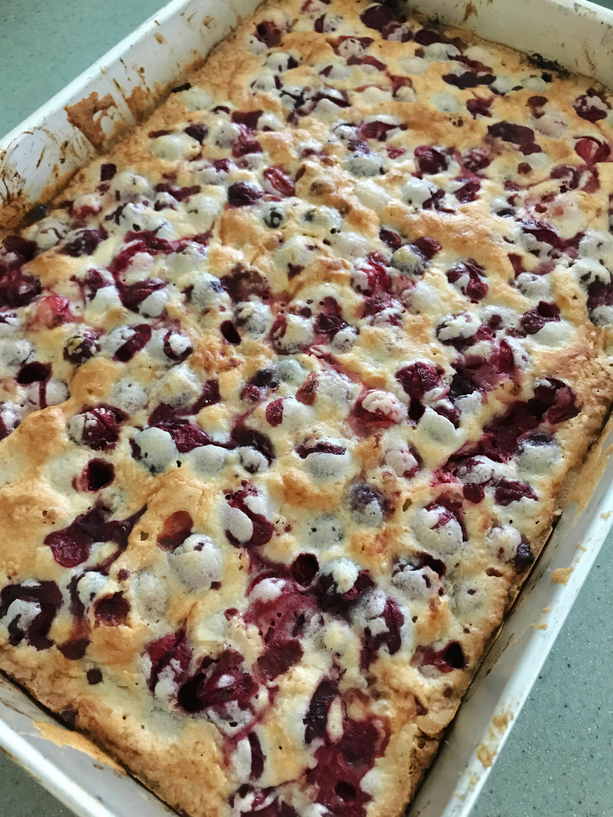 Cranberry Almond Bars cooling on a counter.