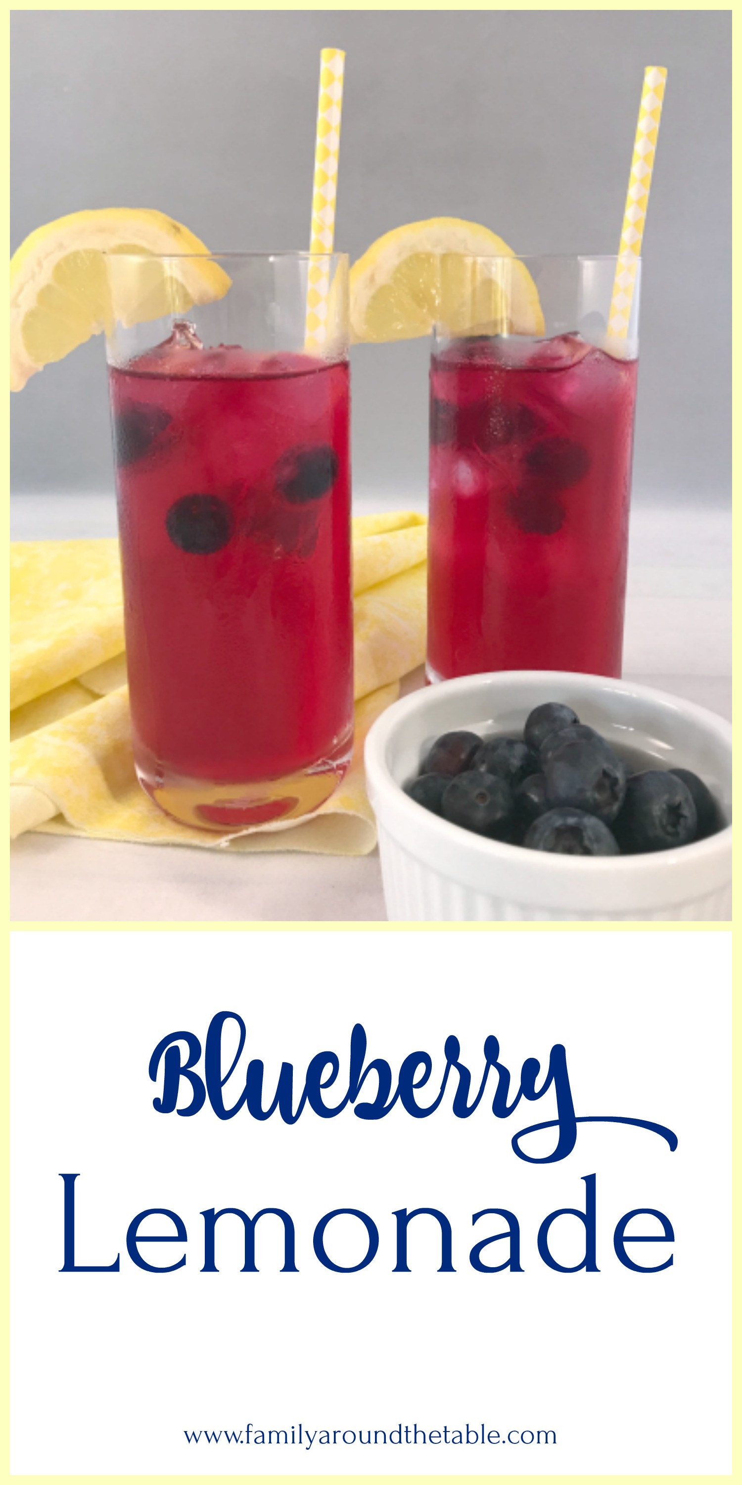 Fresh Blueberry Lemonade • Family Around the Table