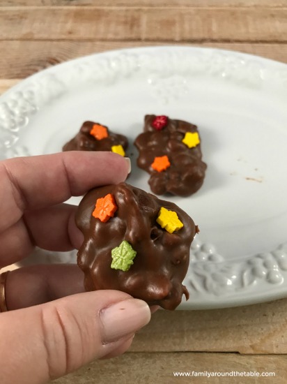 Dress up Autumn Spice Pecan Fudge Drops with some cute seasonal sprinkles.