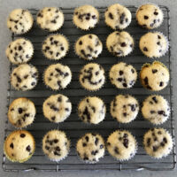 Overhead photo of chocolate chip mini muffins on a cooling rack.