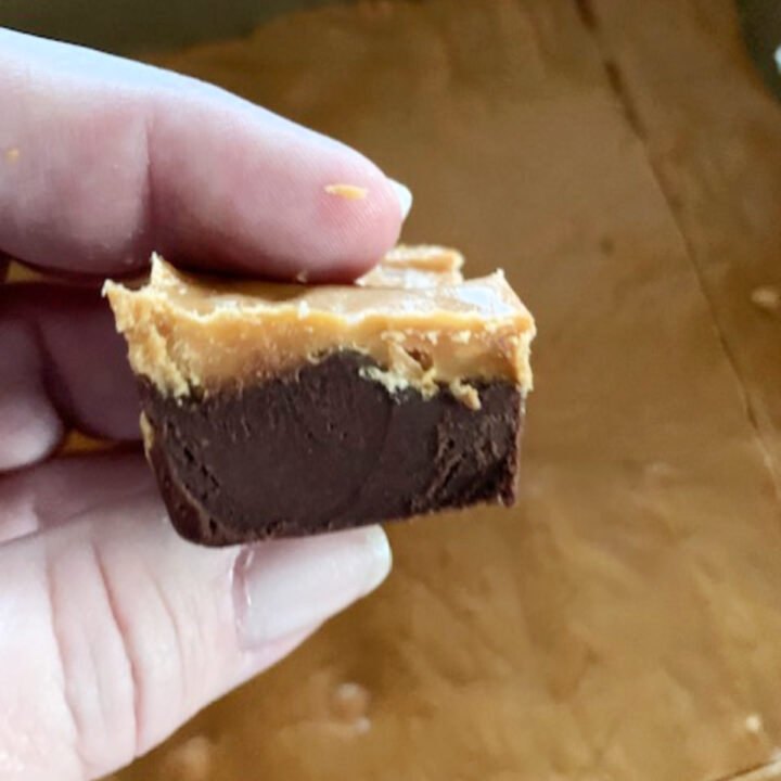 Side view of layered fudge being held.