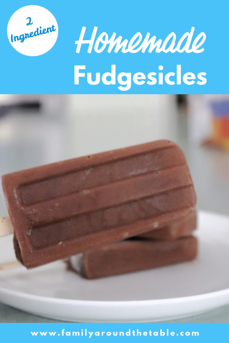 Homemade Fudgesicle Recipe Just 2 Ingredients