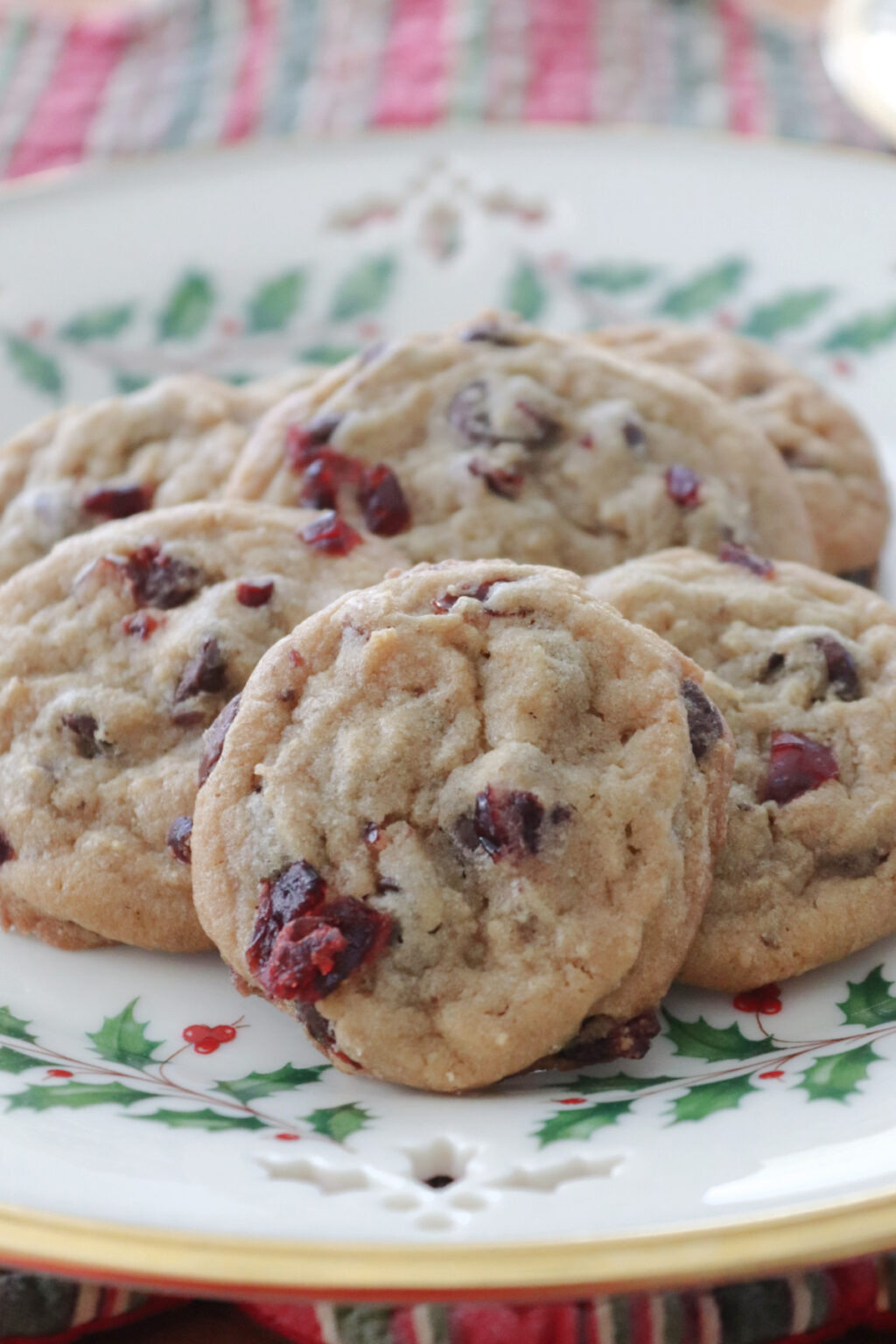 Chocolate Chip Dried Cranberry Cookies Recipe | Easy Recipe