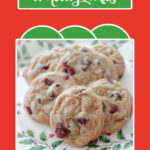 Chocolate chip dried cranberry cookies Pinterest image.