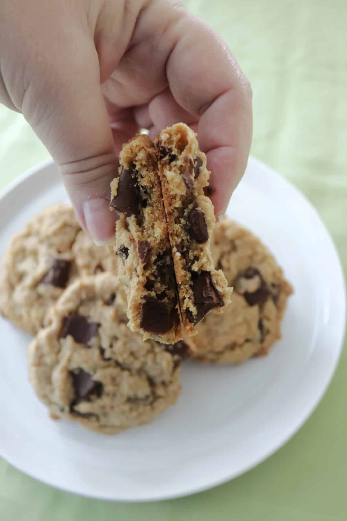 Inside of a chocolate chunk cookie.