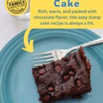 Chocolate chip dump cake Pinterest image.